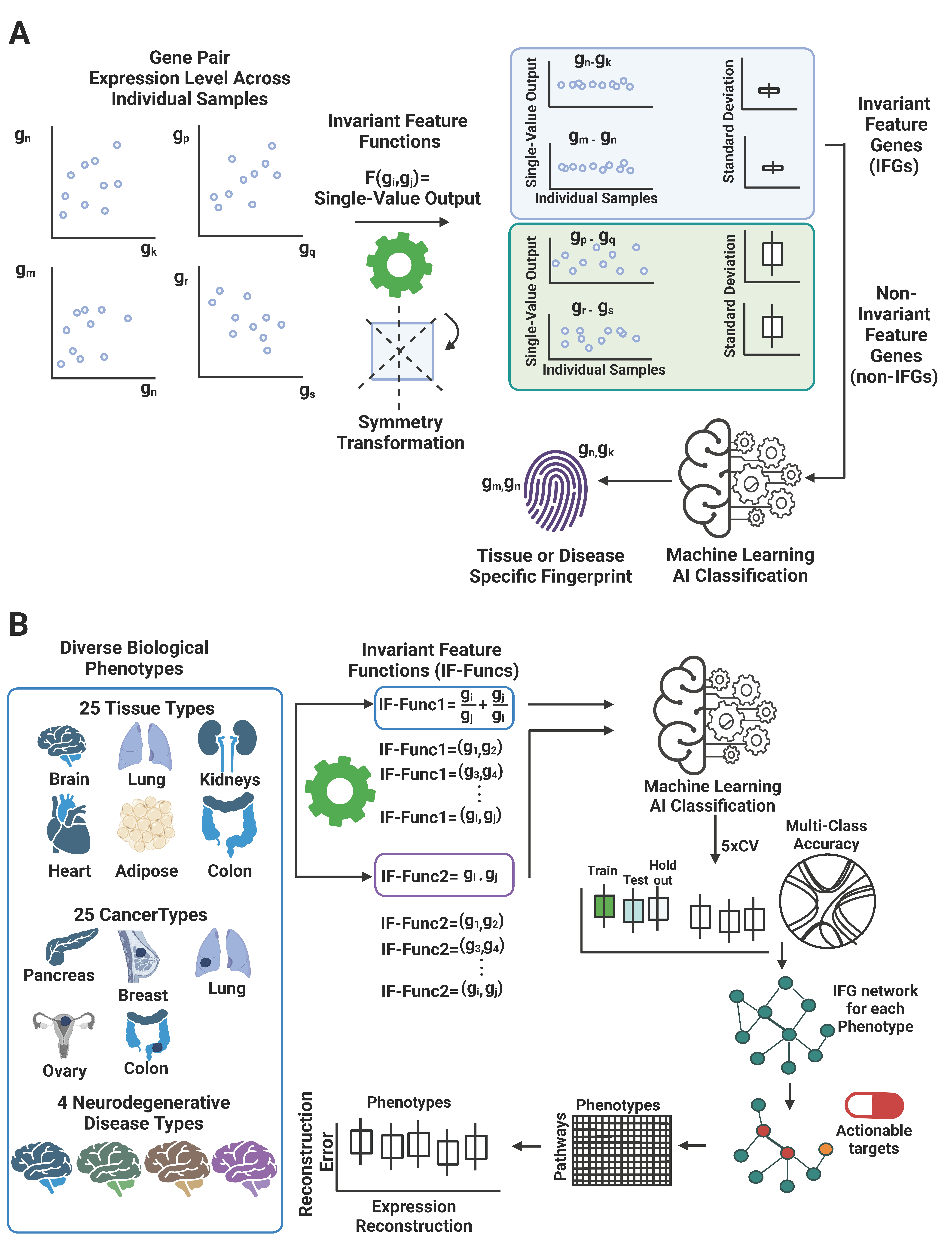 IF-Net schematic